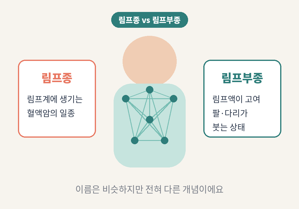림프종과 림프부종의 차이를 설명한 림프계 일러스트