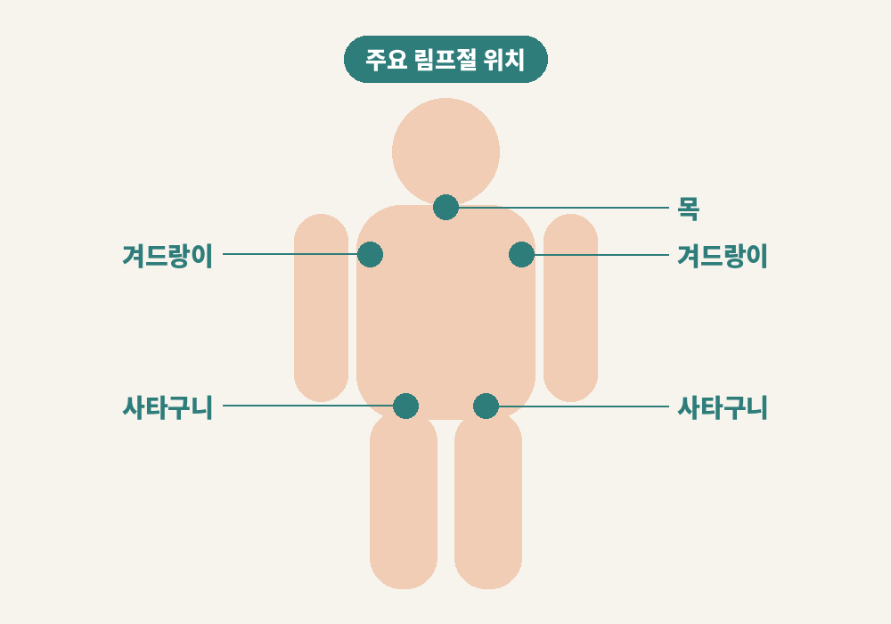 겨드랑이와 사타구니 등 주요 림프절 위치