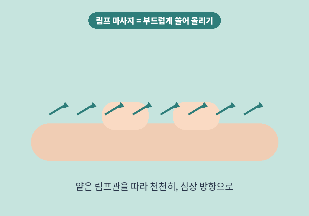 다리 림프부종 완화를 위한 부드러운 림프 마사지 방향