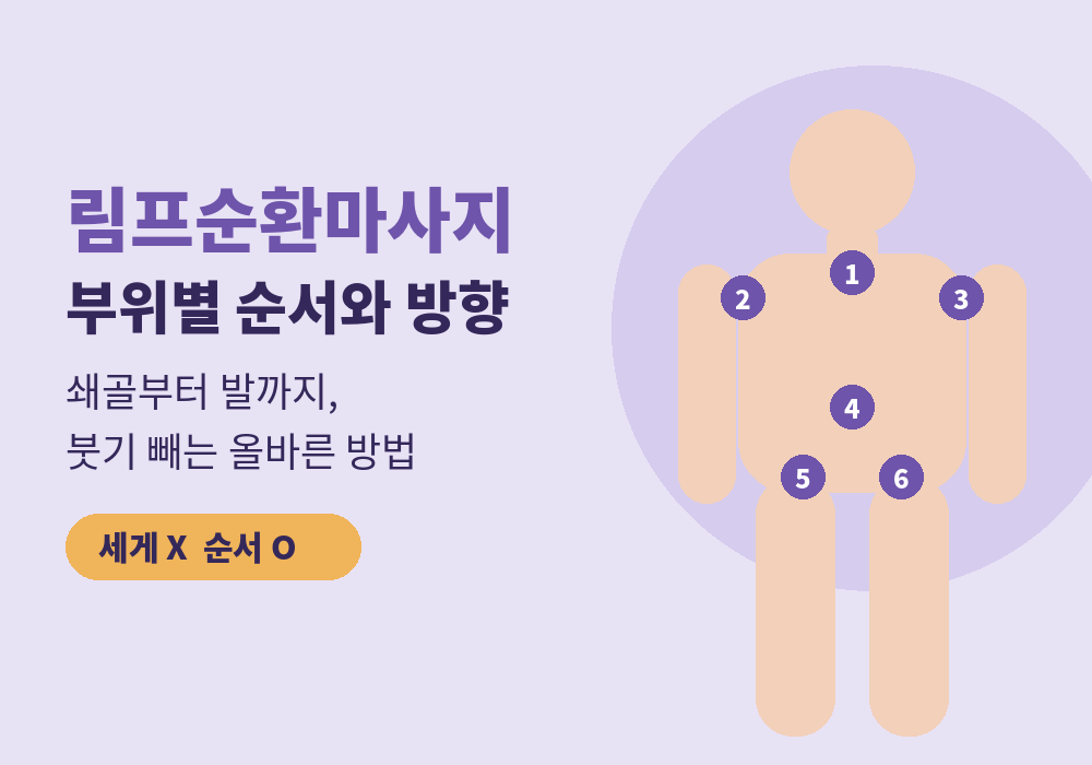 림프순환마사지 부위별 순서와 방향 안내 대표 이미지