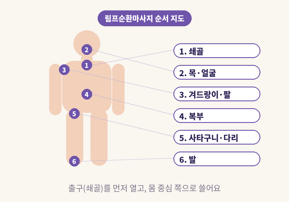 쇄골에서 발까지 림프순환마사지 부위별 순서 지도