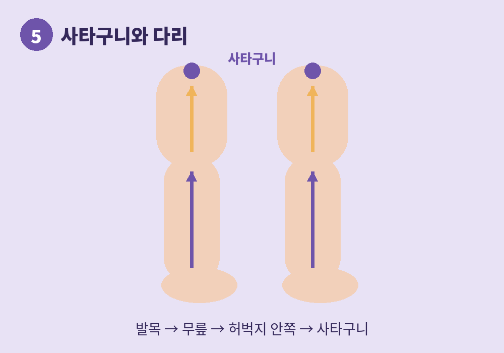 다리 붓기 관리를 위한 사타구니와 종아리 림프순환마사지 방향