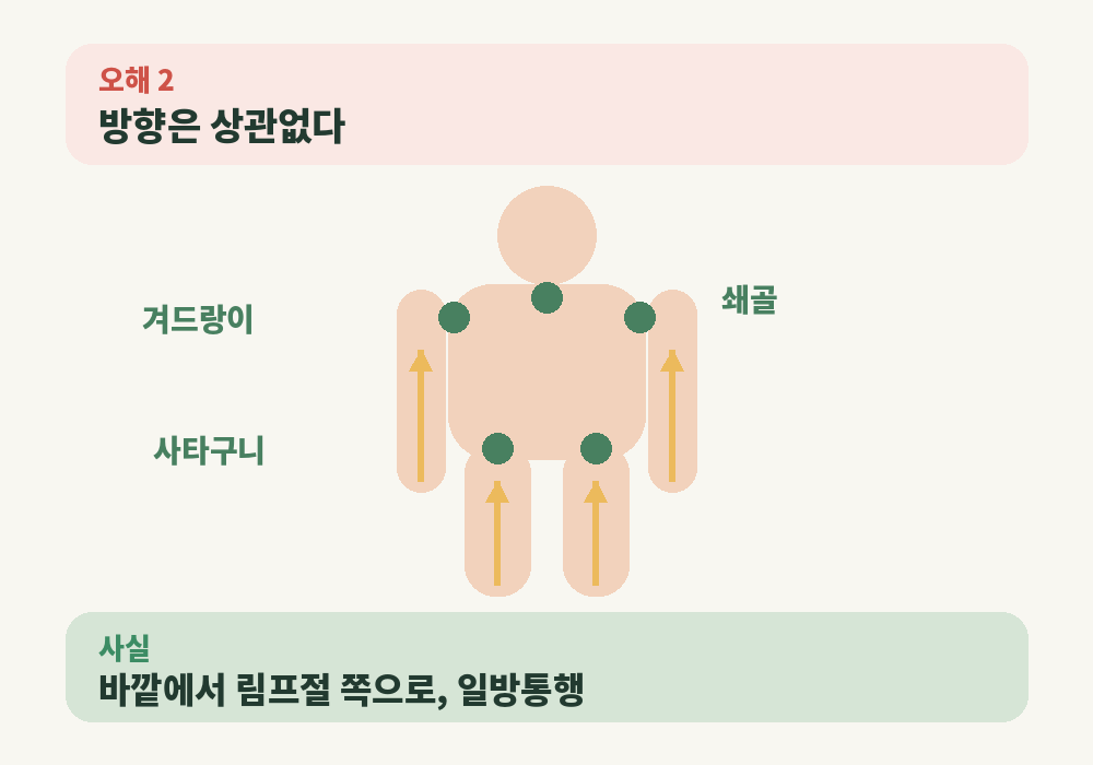 쇄골 겨드랑이 사타구니 림프절 방향으로 쓸어주는 림프순환마사지