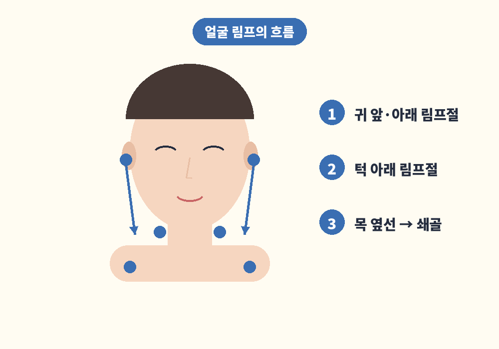 얼굴 림프 흐름 방향과 귀 아래 목 쇄골 림프절 위치