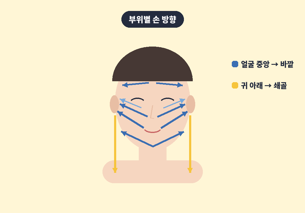 얼굴 림프마사지 부위별 손 방향 화살표 안내