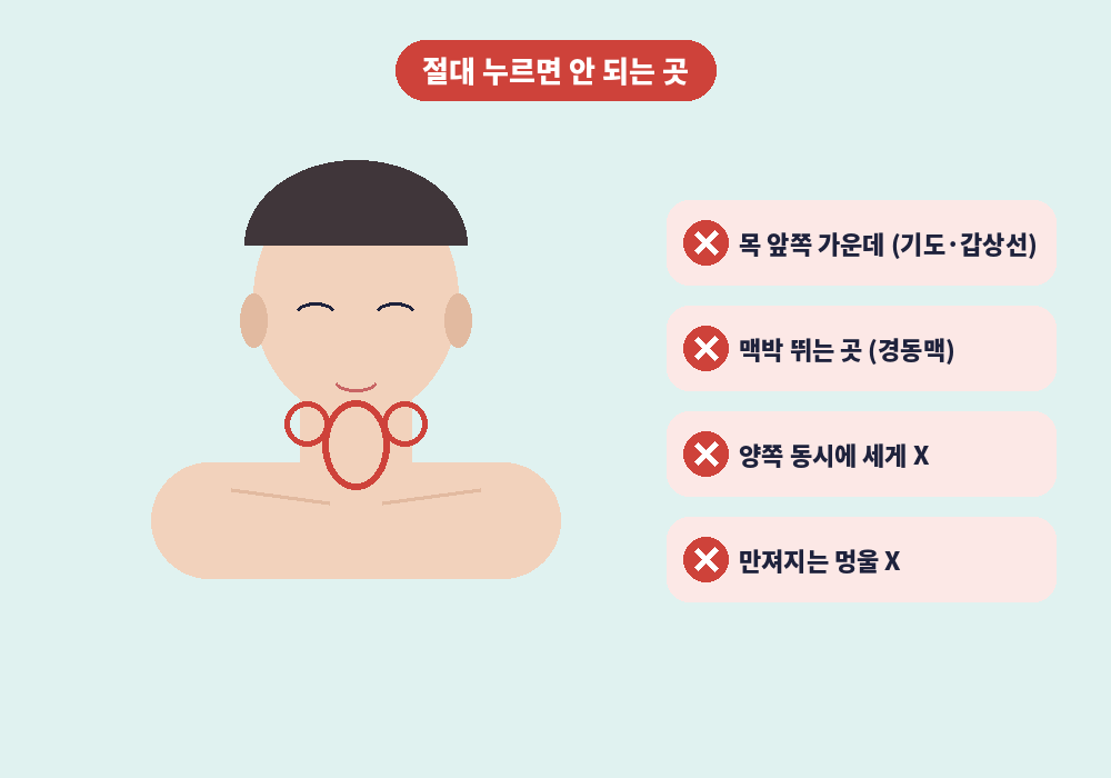목 림프마사지 시 누르면 안 되는 목 앞쪽 경동맥 갑상선 부위