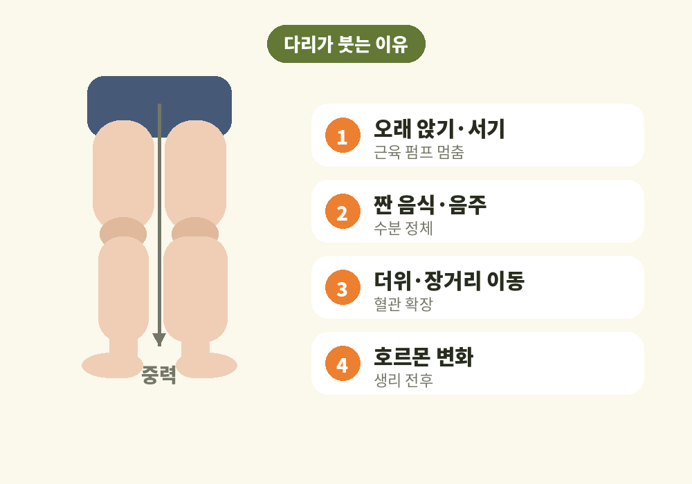 중력과 오래 앉거나 서는 자세로 생기는 다리 붓기 원인