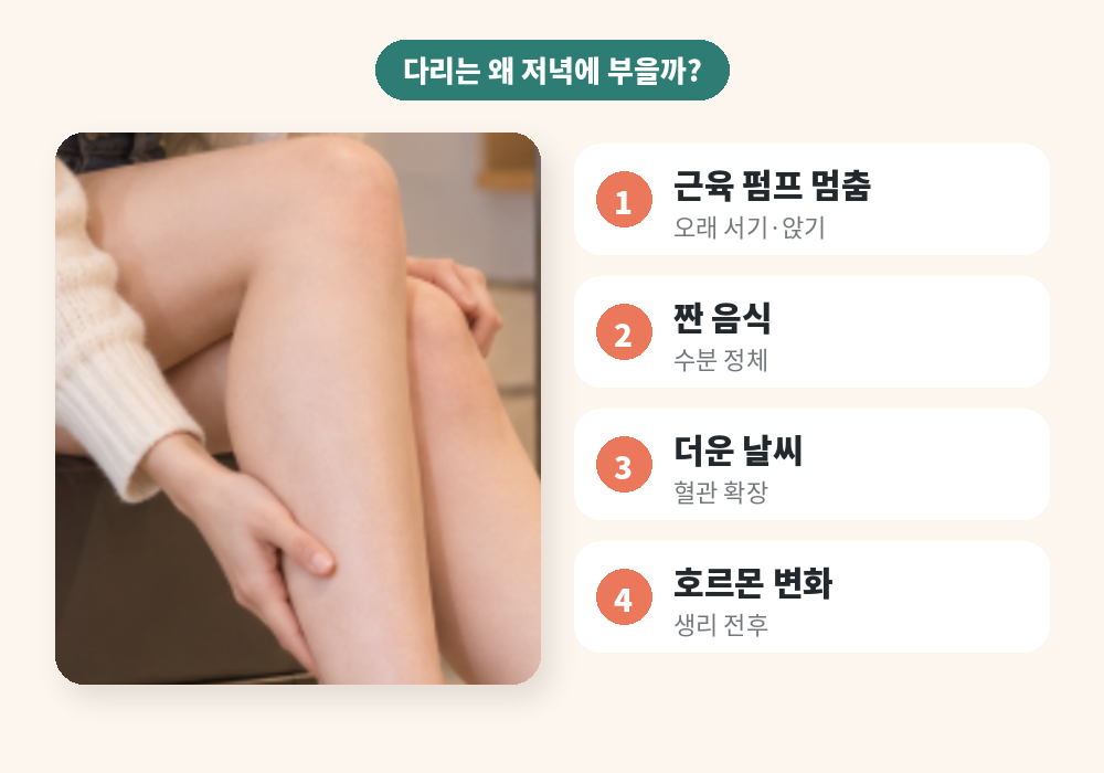 중력과 종아리 근육 펌프로 보는 다리 붓기 원리