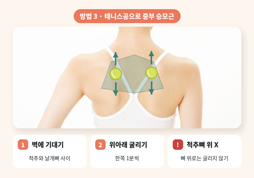 테니스공을 이용한 중부 승모근 마사지