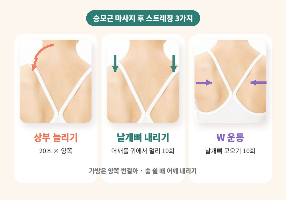 승모근 마사지 후 스트레칭 상부 늘리기 날개뼈 내리기 W 운동