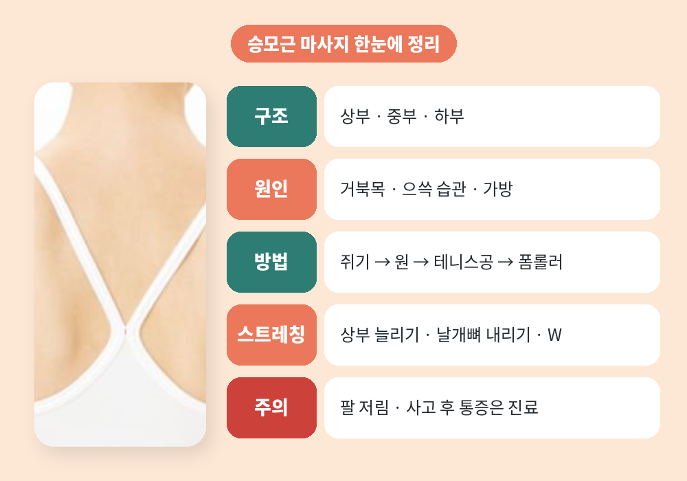 승모근 마사지 구조 방법 스트레칭 주의사항 요약표
