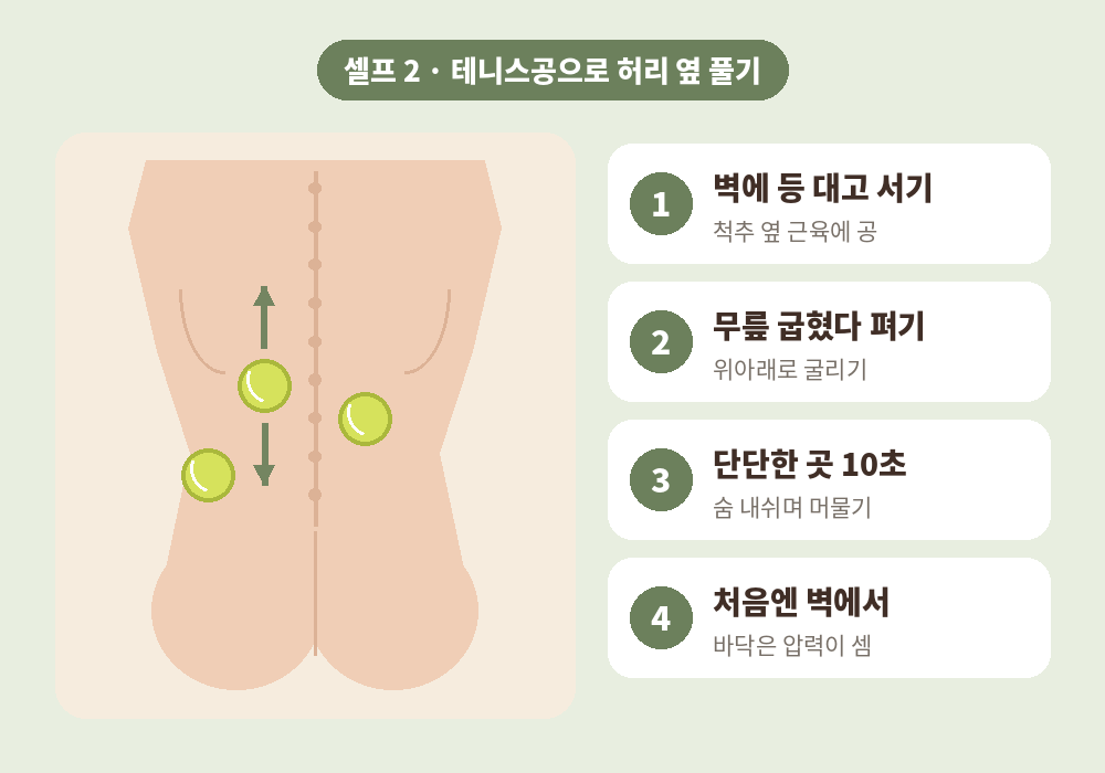 허리 마사지 테니스공으로 척추기립근과 요방형근 풀기