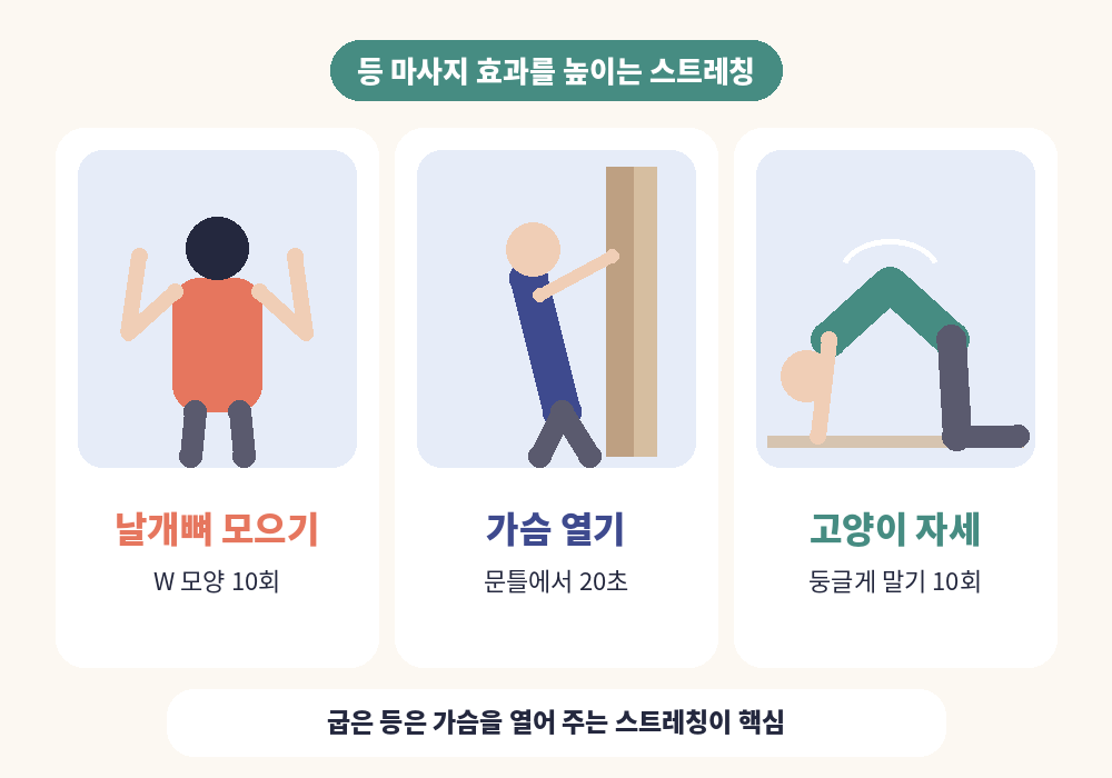 등 마사지 후 스트레칭 날개뼈 모으기 가슴 열기 고양이 자세