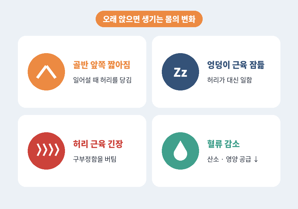 오래 앉아 있을 때 허리 통증을 만드는 고관절 엉덩이 근육 변화