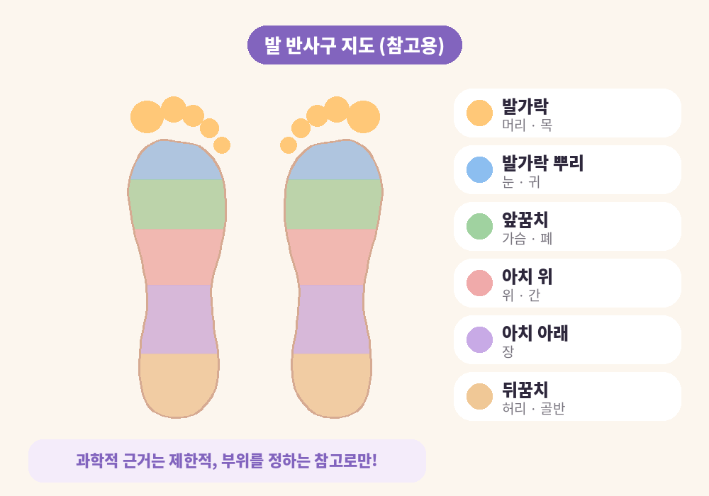 발바닥 마사지 반사구 지도 참고용 이미지