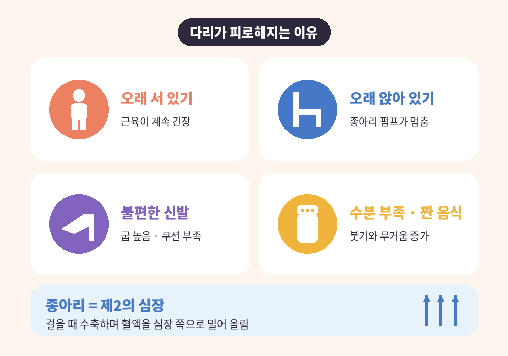 다리 피로 푸는 법을 알기 전 다리가 피로해지는 원인