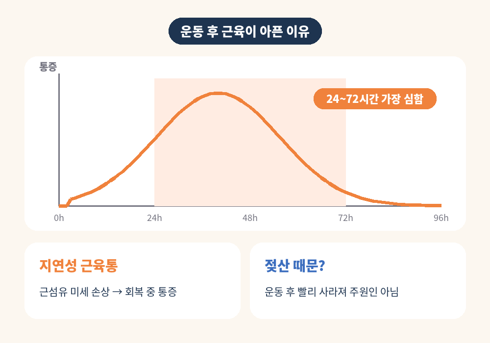 운동 후 마사지가 필요한 이유 지연성 근육통 원리
