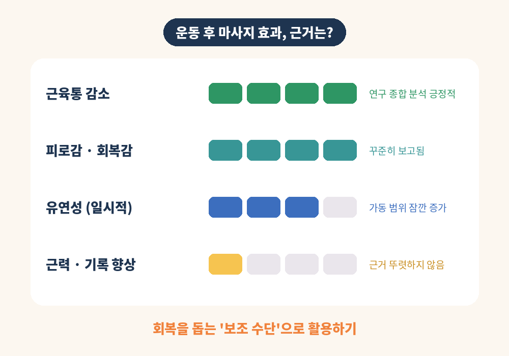 운동 후 마사지 효과 근육통 완화 회복감 유연성 근거