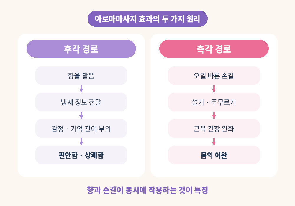 아로마마사지 효과 원리 후각과 촉각 두 가지 경로