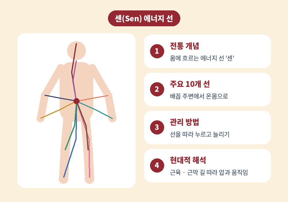 타이마사지 뜻을 이해하는 센 에너지 라인 원리