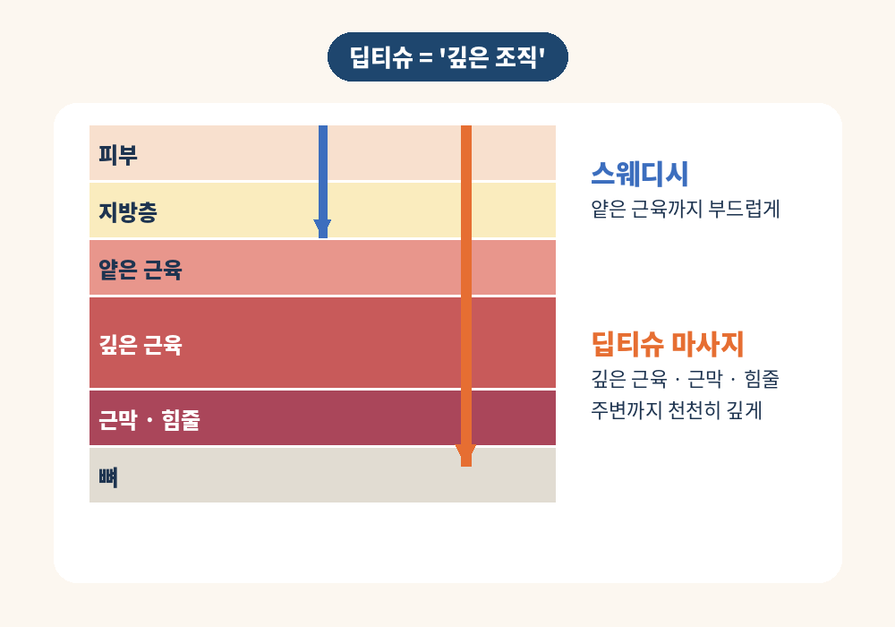 딥티슈 마사지 뜻 깊은 조직 근육 근막 구조