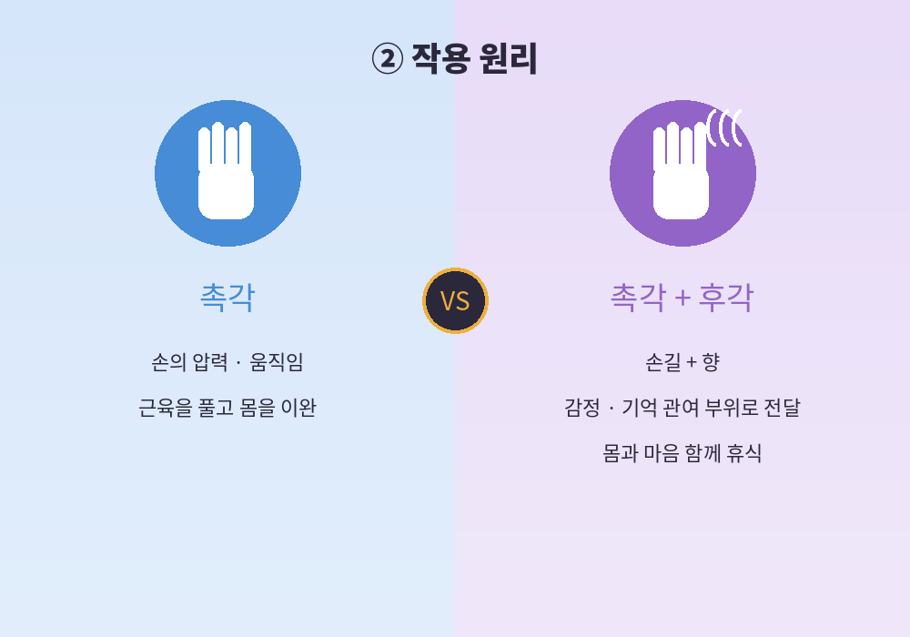 스웨디시 아로마 차이 촉각과 후각 작용 원리