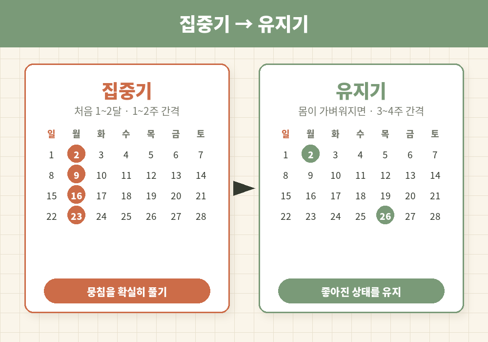 마사지 받는 주기 집중기 유지기 단계별 간격
