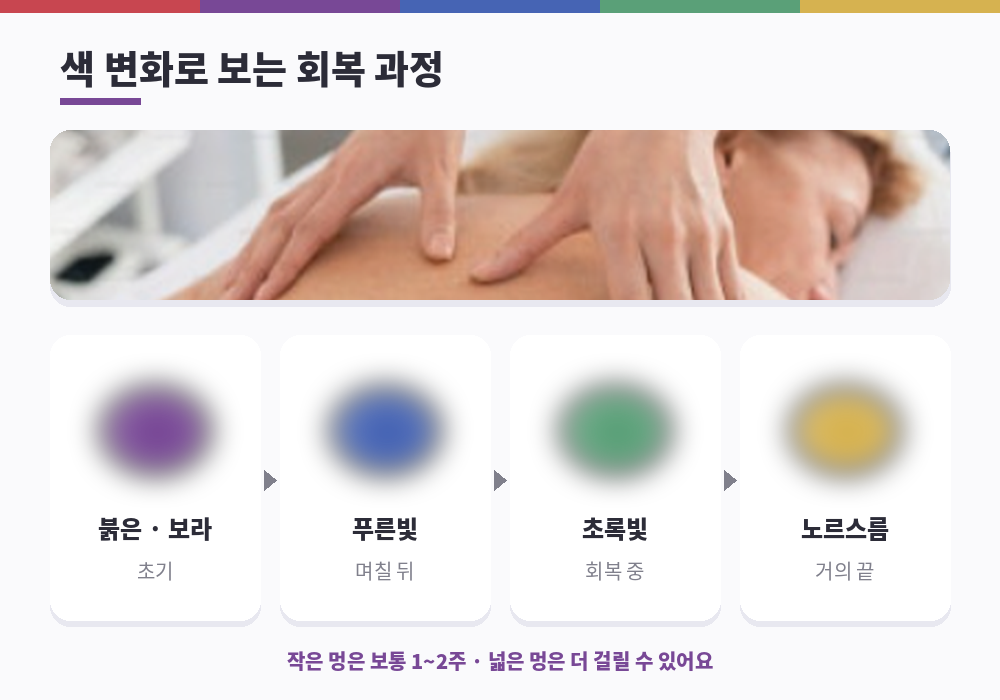 마사지 후 멍 색 변화 회복 과정 빨강 보라 초록 노랑