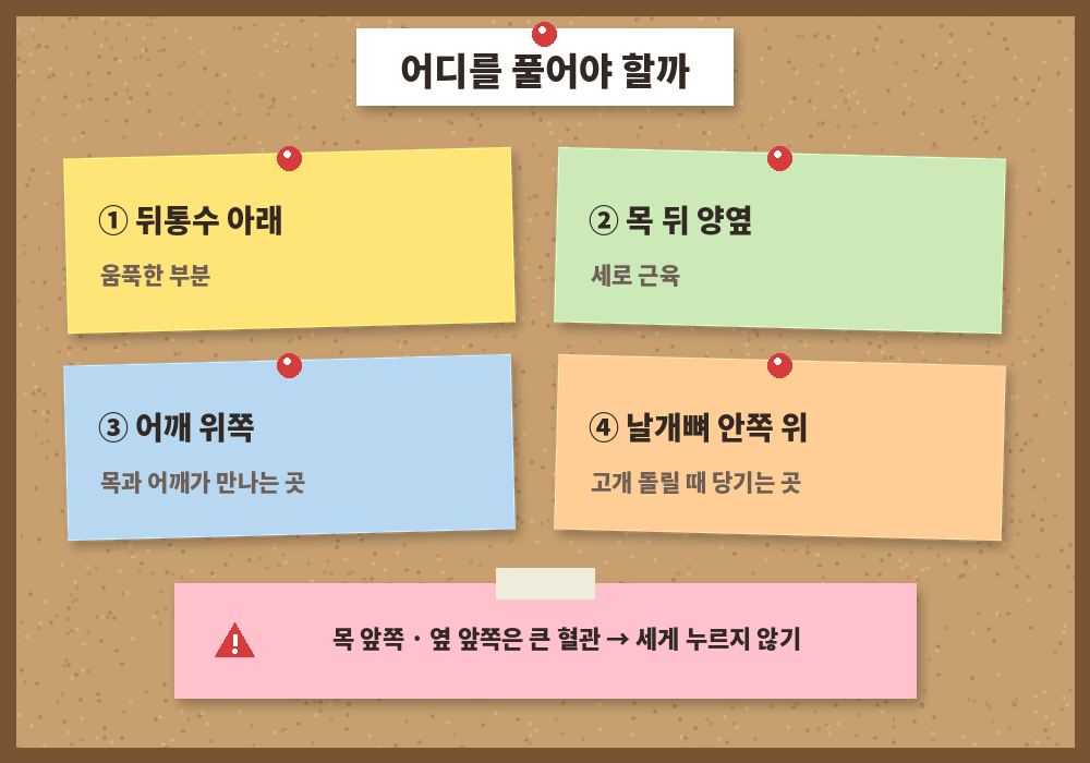 목 셀프마사지 관리 부위 뒤통수 아래 목 뒤 승모근 어깨 안쪽
