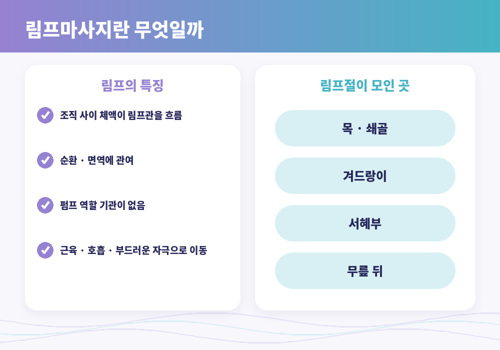 강동 림프마사지 림프 기본 개념 림프절 위치