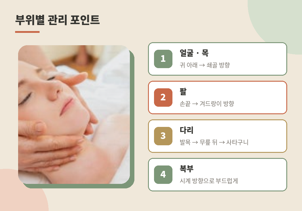 천호 림프마사지 얼굴 목 부위별 관리 포인트