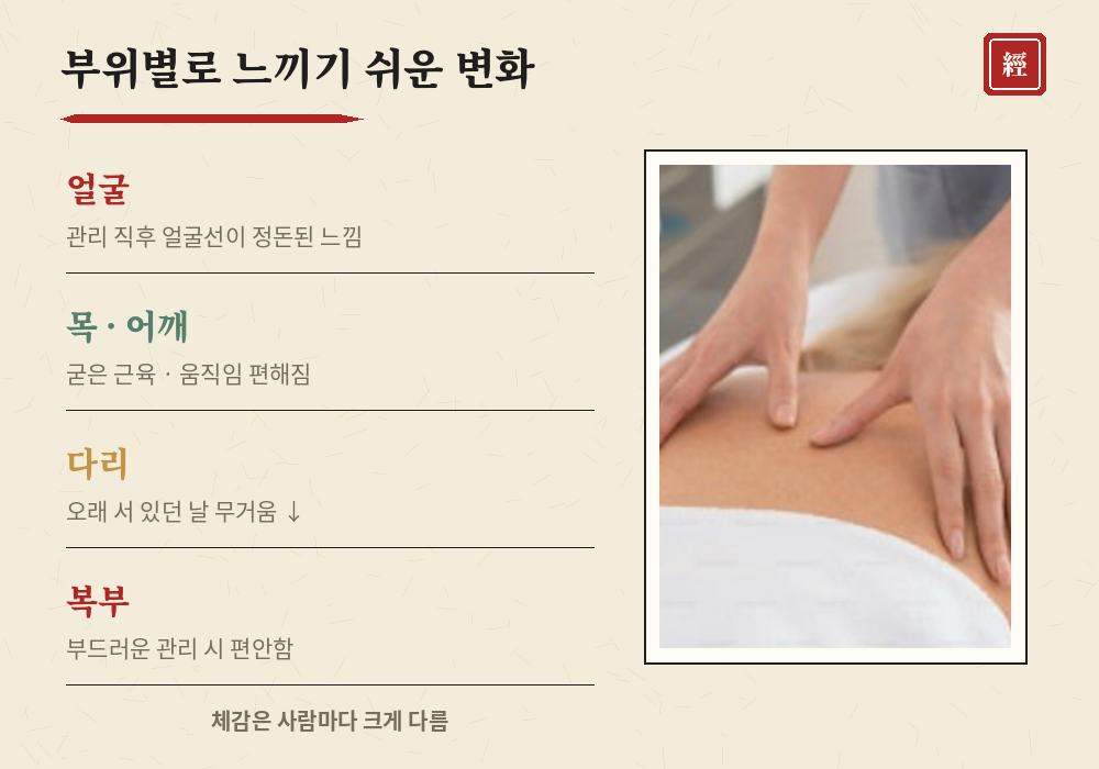 경락마사지 효과 얼굴 목 어깨 다리 복부 부위별 변화