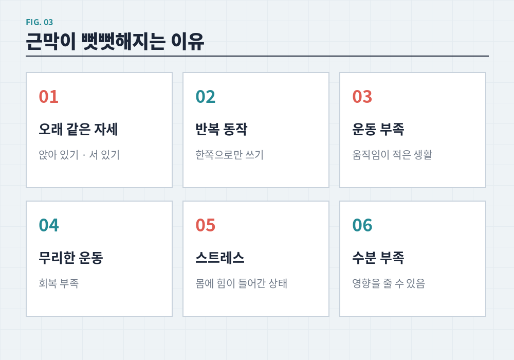 근막이 뻣뻣해지는 이유 자세 반복 동작 운동 부족
