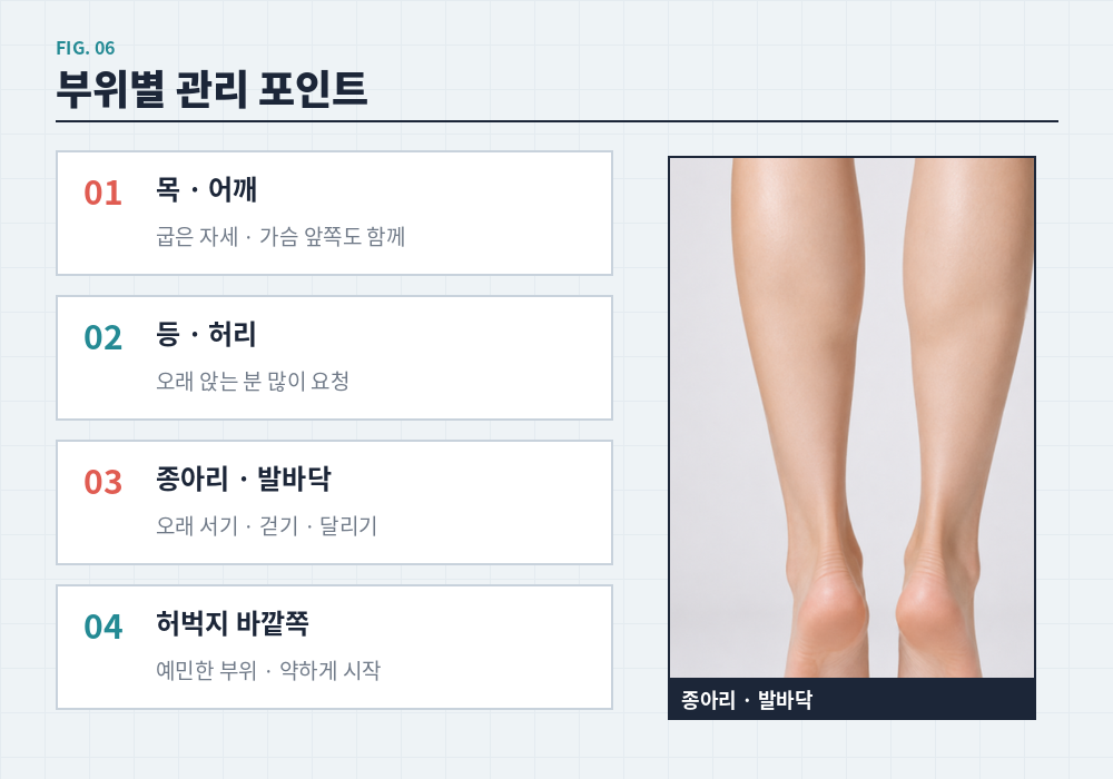 근막이완 마사지 목 어깨 등 허리 종아리 발바닥 부위별