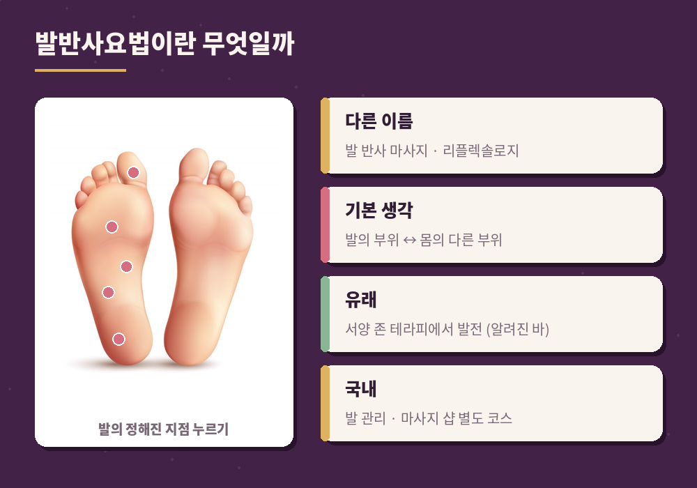 발반사요법 개념 발바닥 지점 누르기 리플렉솔로지