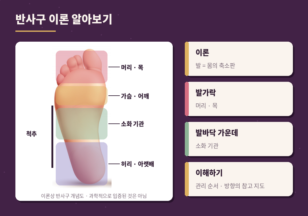 발반사요법 발바닥 반사구 지도 개념도