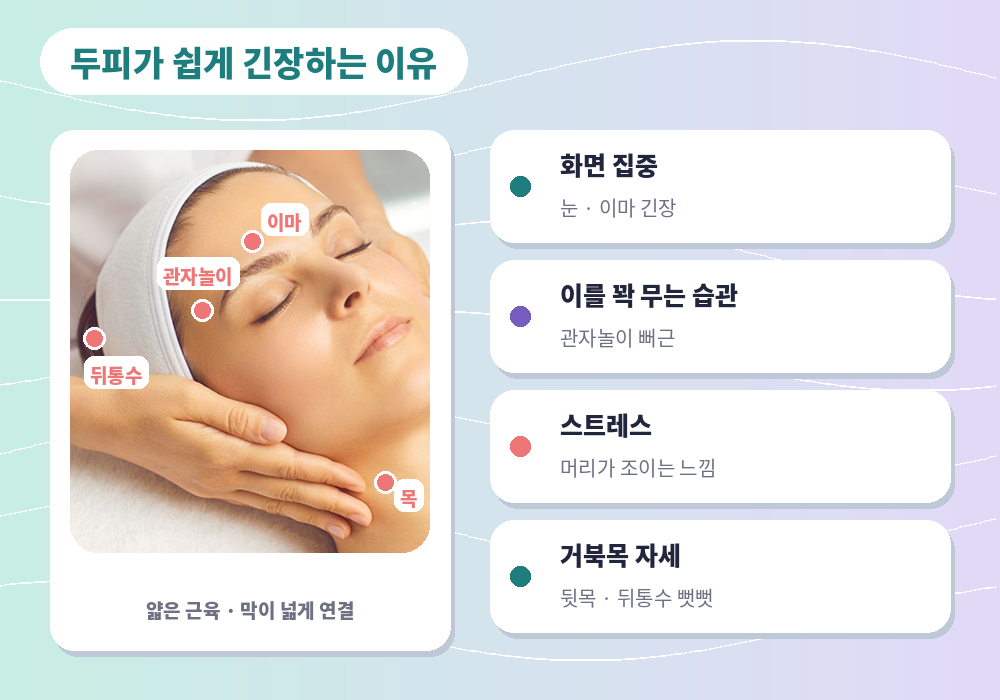 두피 마사지 효과 두피 긴장 원인 이마 관자놀이 뒷목 근육
