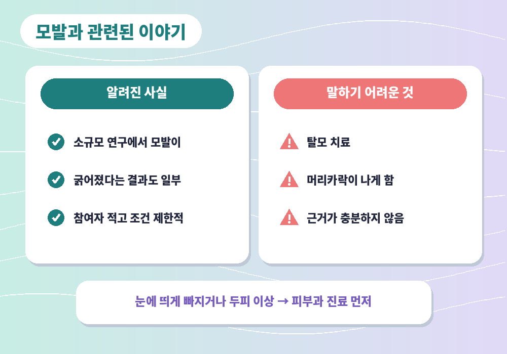 두피 마사지 효과 모발 연구 탈모 관련 사실 확인
