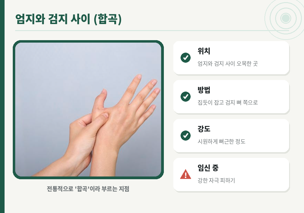 엄지와 검지 사이 합곡 지압 손등 셀프 지압