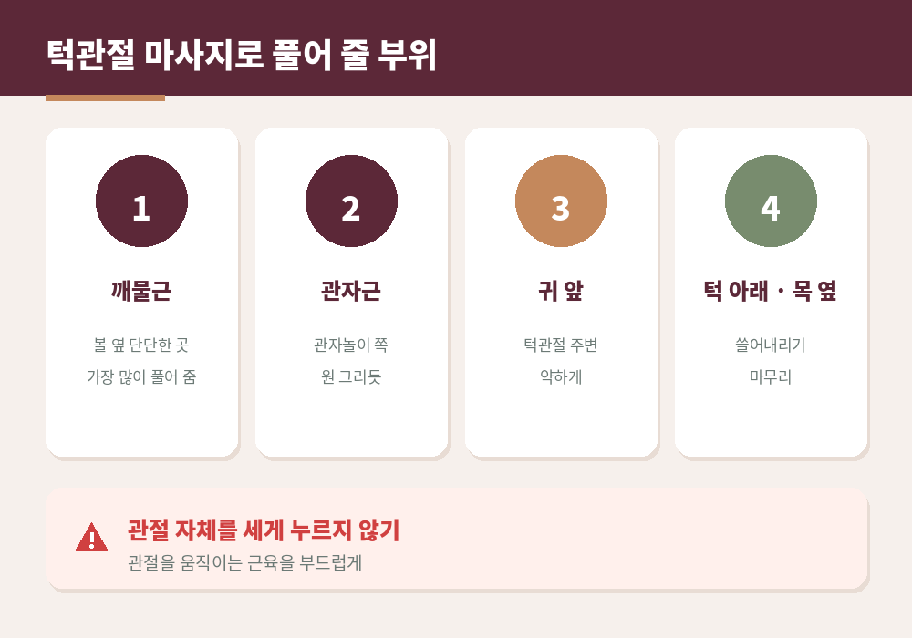 턱관절 마사지 부위 깨물근 관자근 귀 앞 목 옆