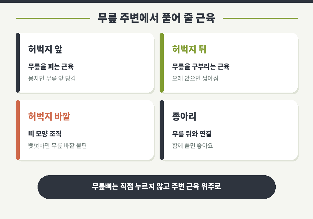 무릎 통증 마사지 부위 허벅지 앞 허벅지 뒤 허벅지 바깥 종아리