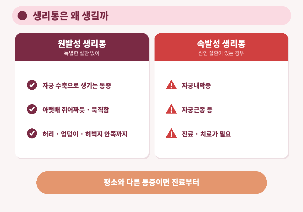 생리통 원인 자궁 수축 아랫배 통증 허리 통증 원발성 속발성