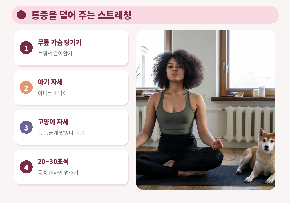 생리통 스트레칭 무릎 가슴 당기기 아기 자세 고양이 자세