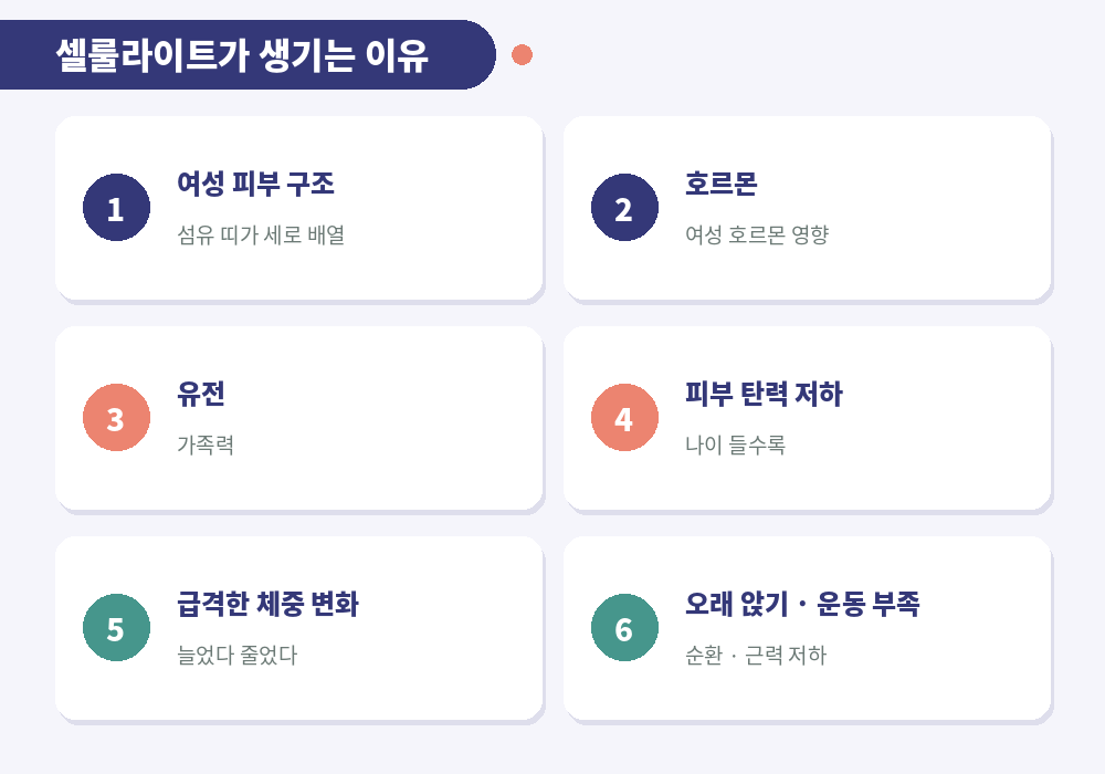셀룰라이트 원인 여성 피부 구조 호르몬 유전 체중 변화 운동 부족 오래 앉기