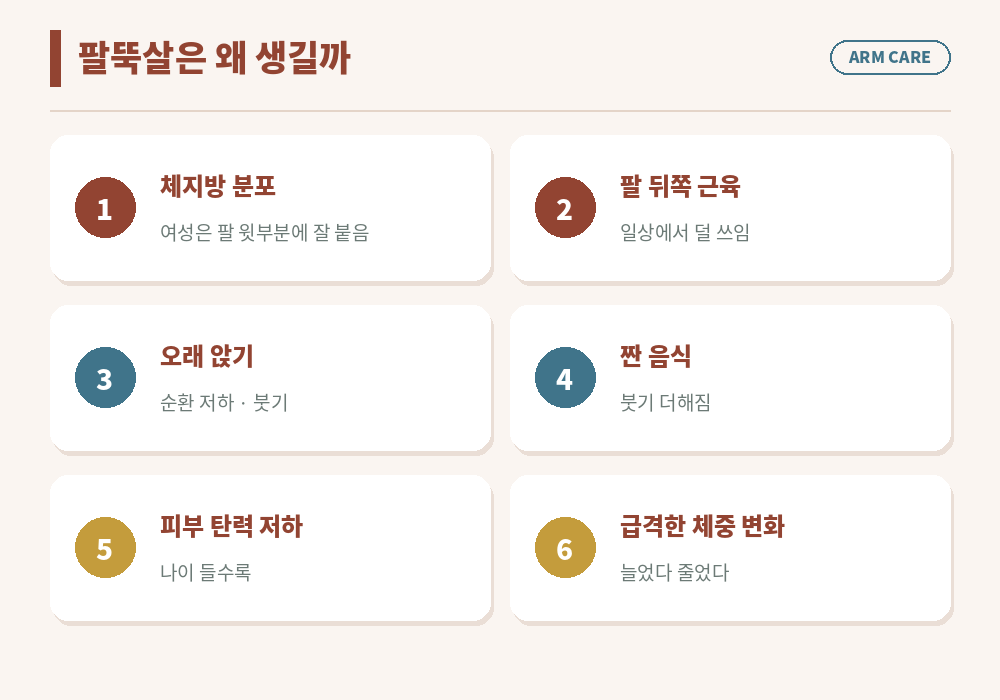 팔뚝살 원인 체지방 분포 삼두근 사용 부족 붓기 피부 탄력 저하