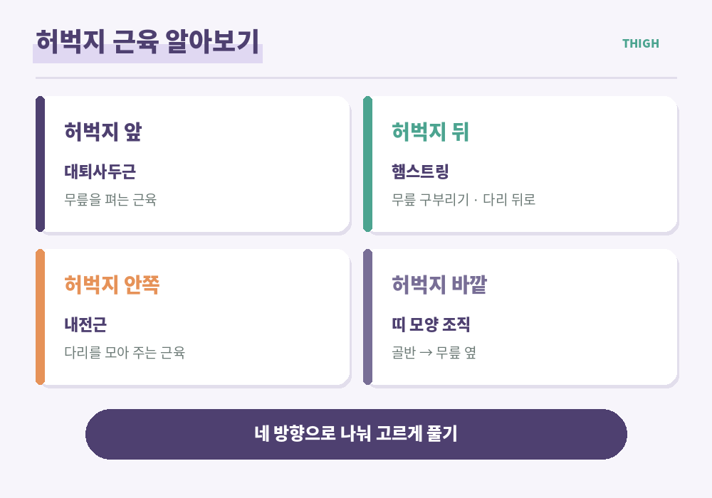 허벅지 근육 구조 허벅지 앞 대퇴사두근 허벅지 뒤 햄스트링 안쪽 바깥쪽