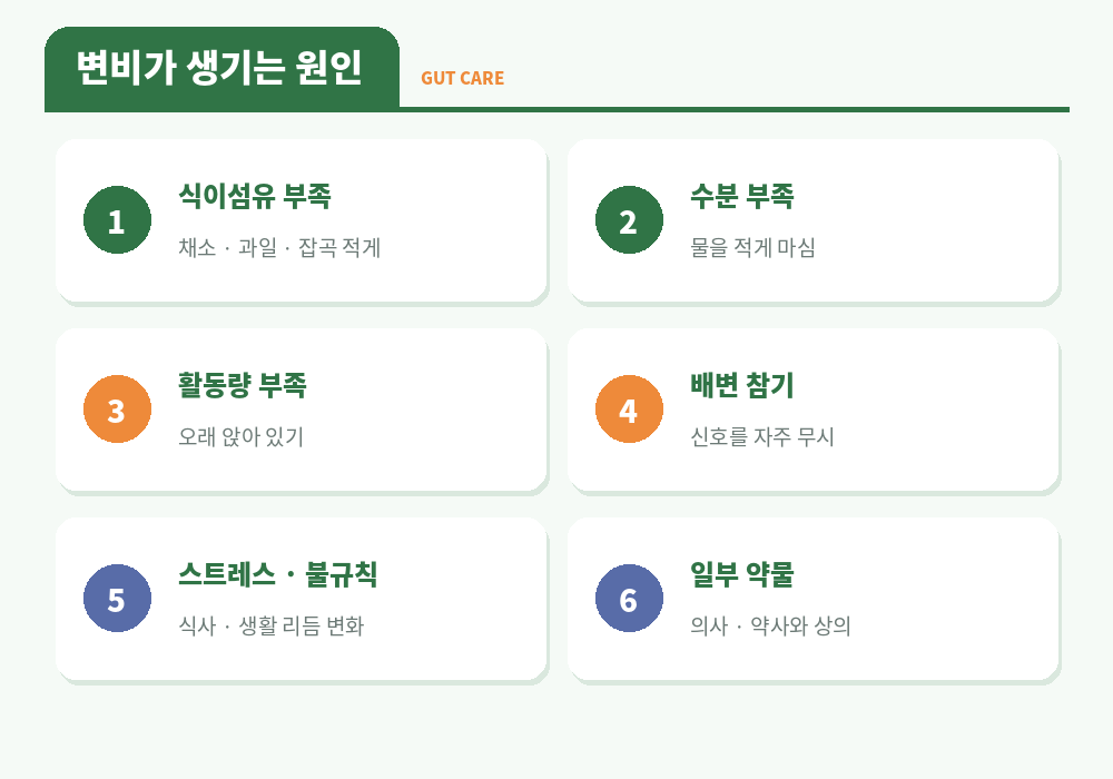 변비 원인 식이섬유 부족 수분 부족 활동량 부족 배변 참기 스트레스