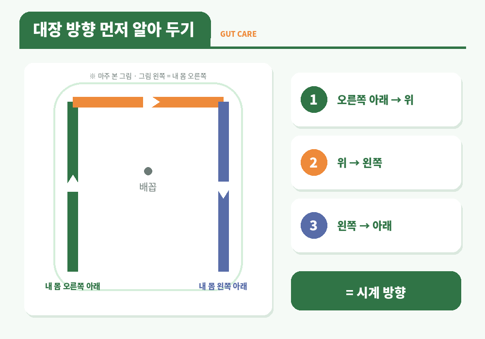 변비 마사지 대장 방향 오른쪽 아랫배 위로 왼쪽 아래로 시계 방향