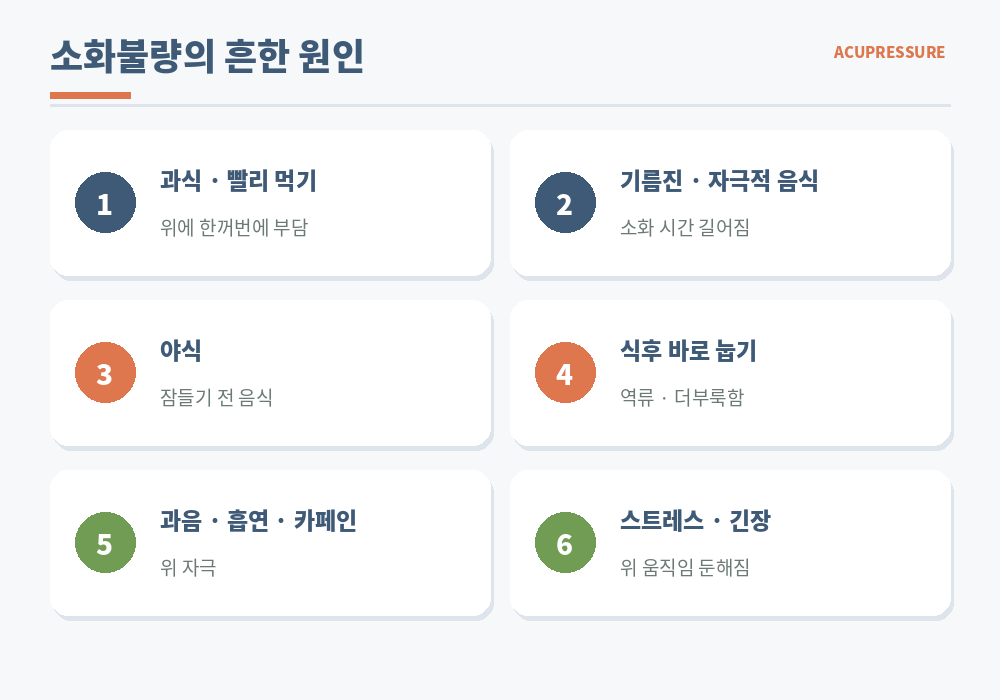 소화불량 원인 과식 빨리 먹기 기름진 음식 야식 스트레스 식후 바로 눕기
