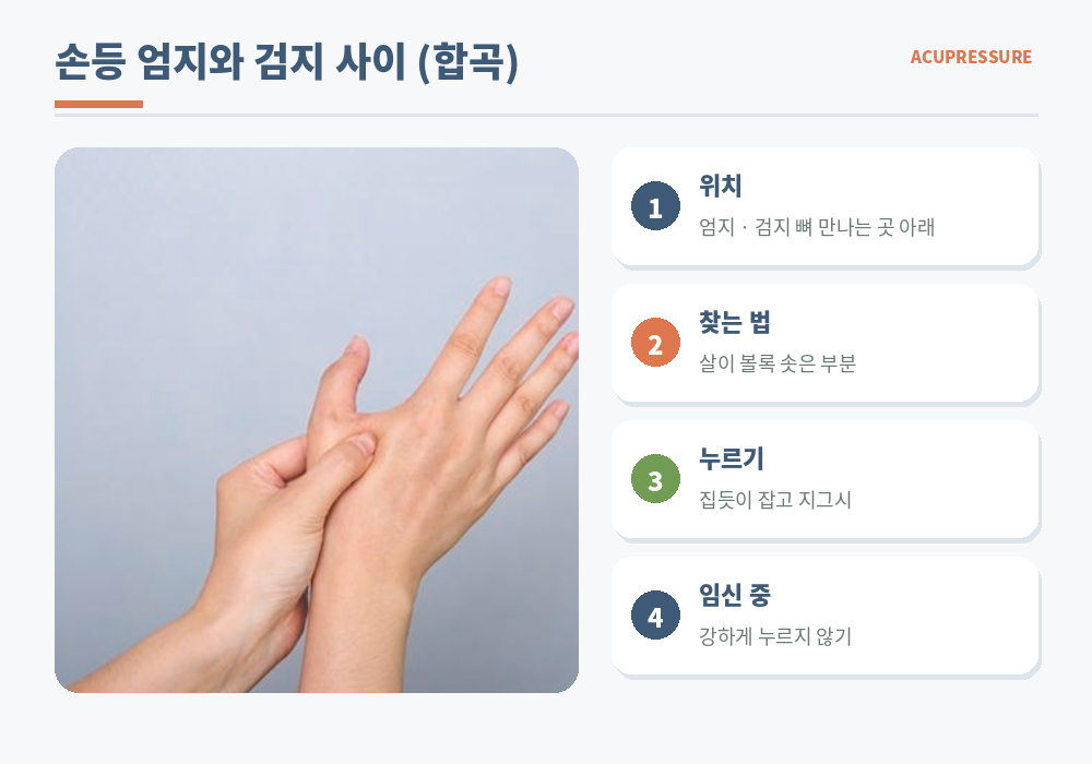 소화불량 지압점 손등 합곡 위치 엄지 검지 사이 누르는 방법